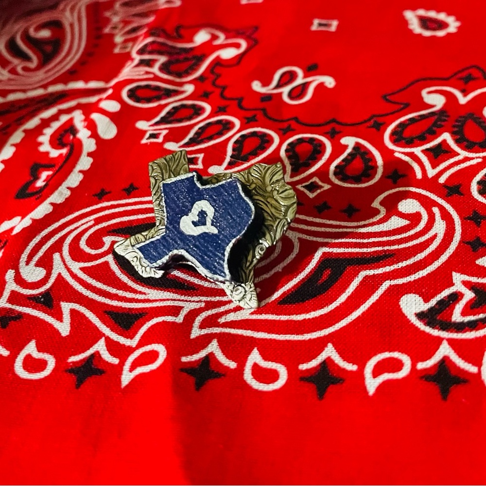 Assorted Unisex Western, Houston or Texas Pins or Tie Tacks. $4 each